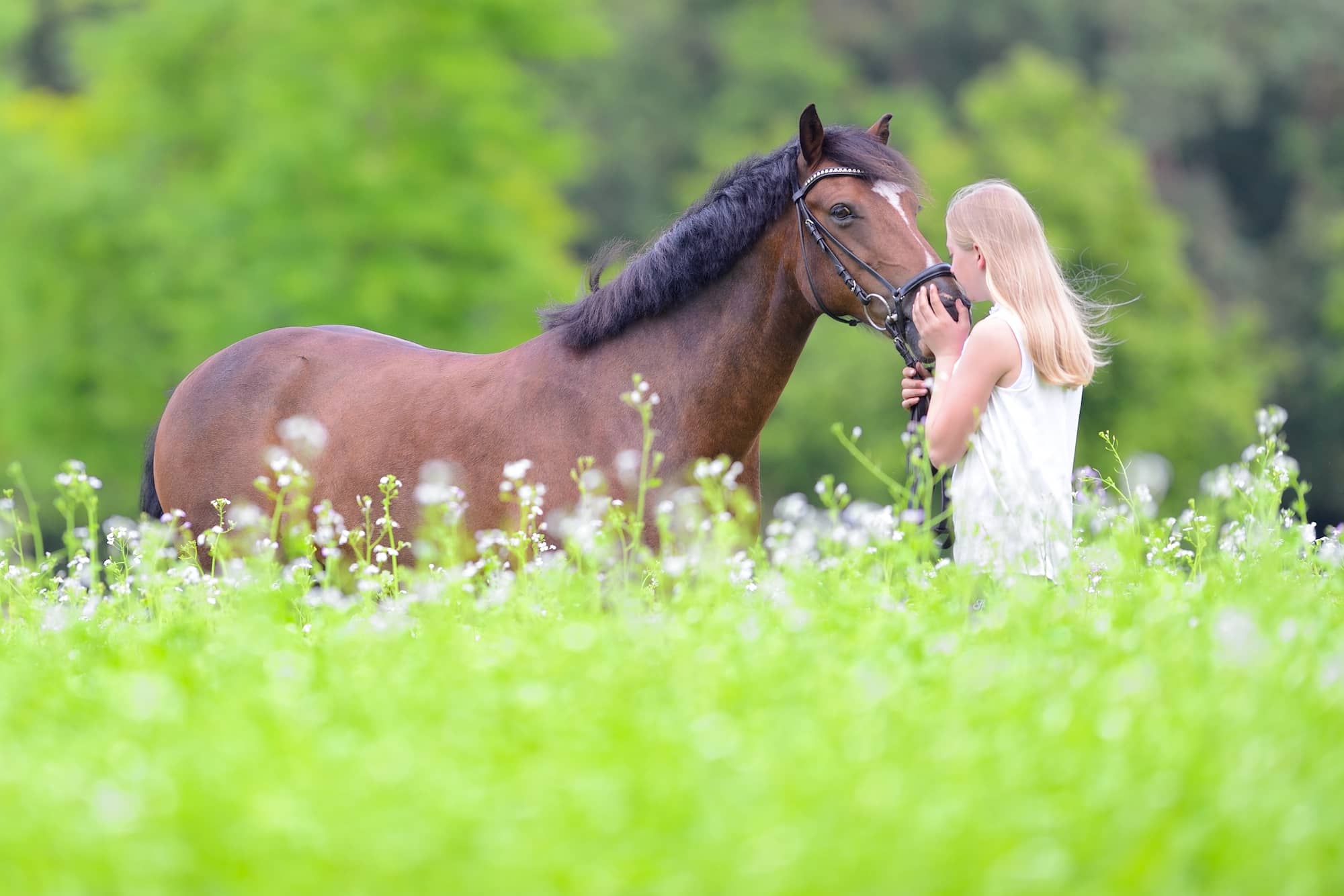 andree-huckemeyer-fotografie-equestrian-galerie-3  