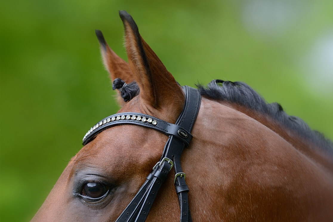 andree-huckemeyer-fotografie-equestrian-galerie-5  