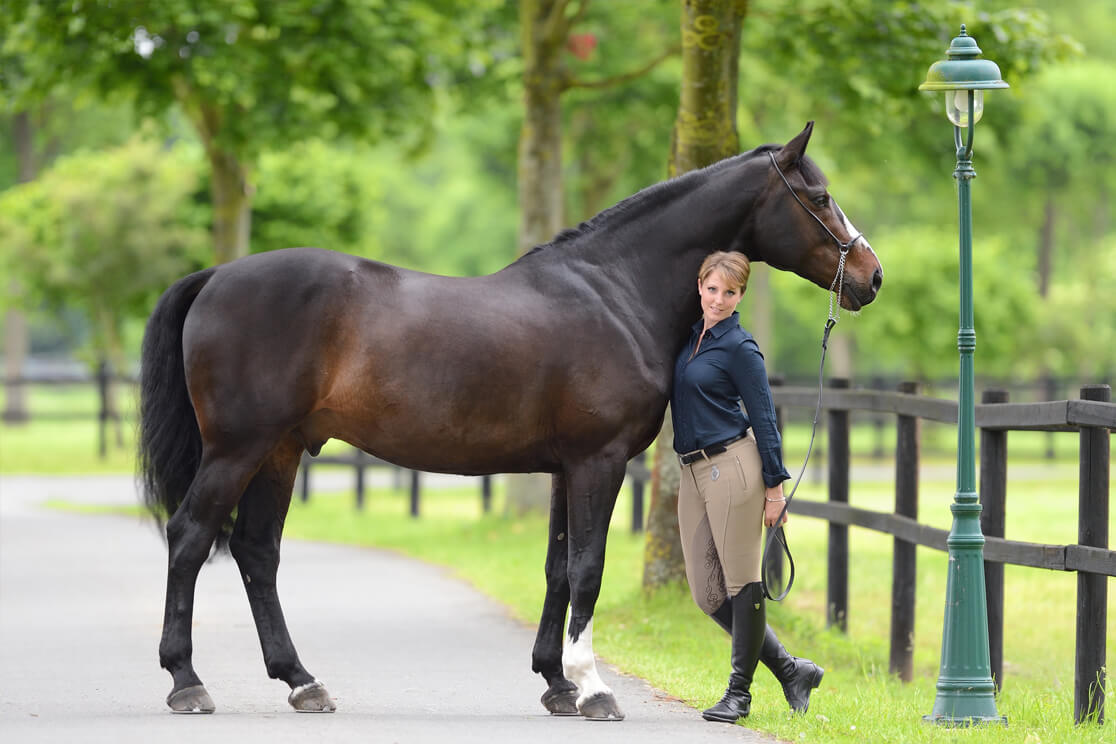 andree-huckemeyer-fotografie-equestrian-galerie-6  